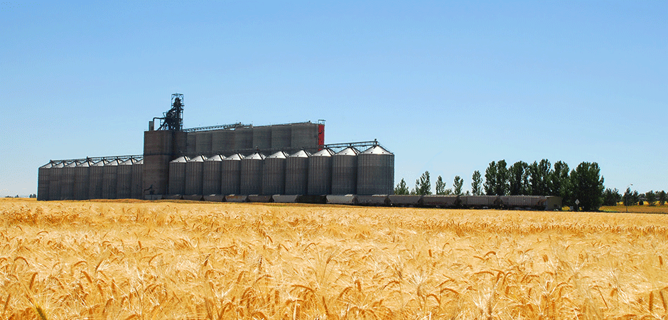 Principal field crops Canada 2012