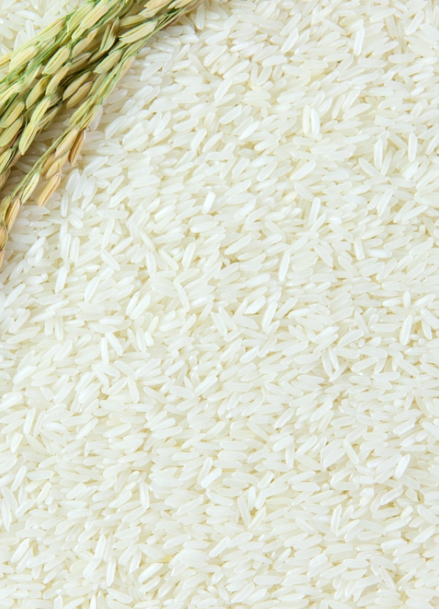 long grain white rice suppliers