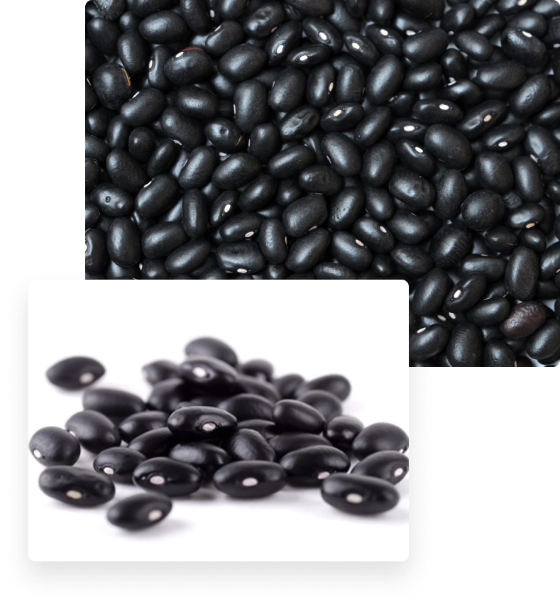 Black Bean Suppliers