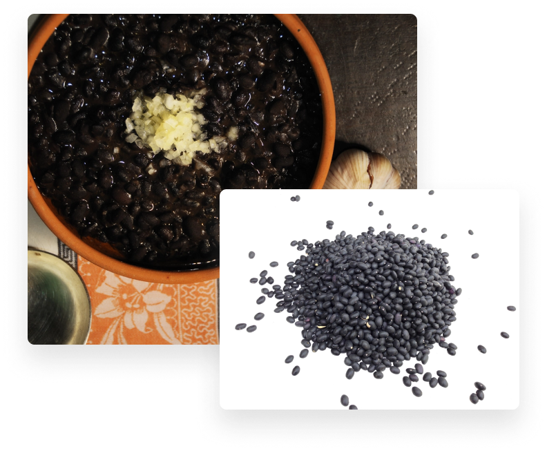 Black Bean Suppliers