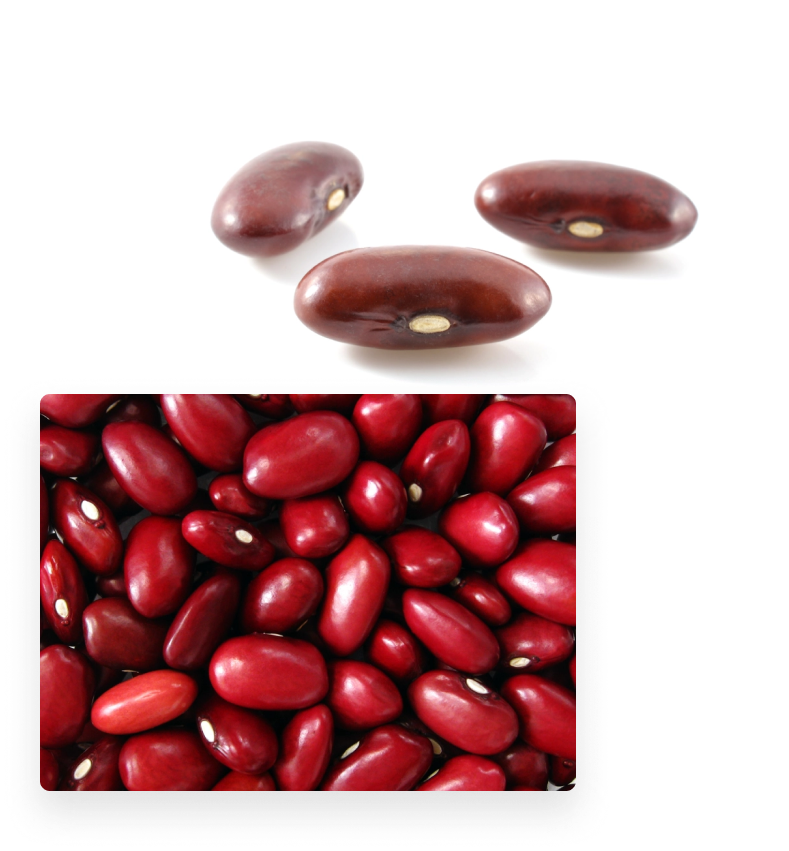 Small Red Bean Suppliers