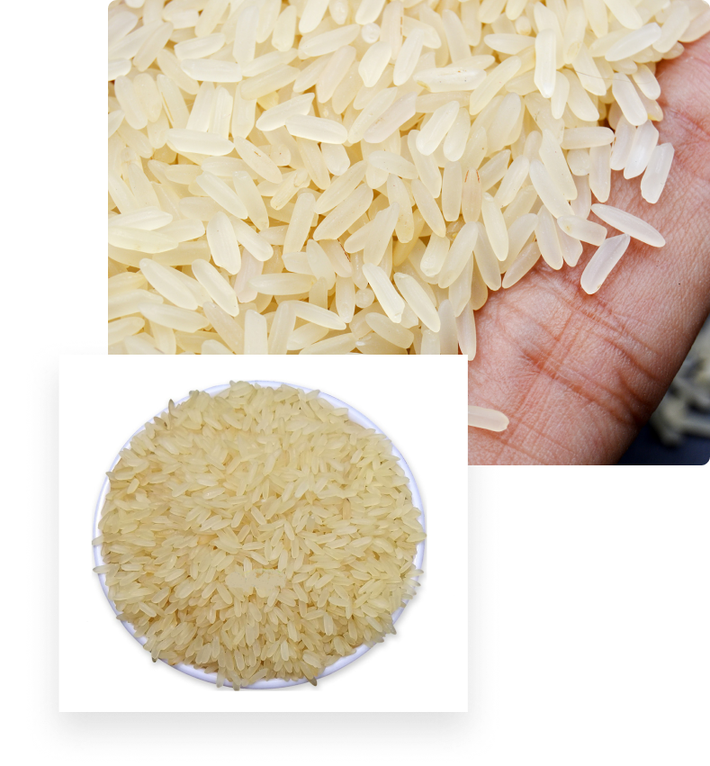 Parboiled Rice Suppliers