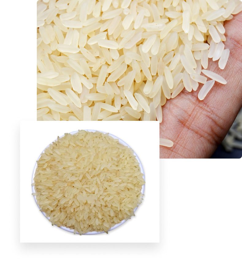 Parboiled Rice Suppliers