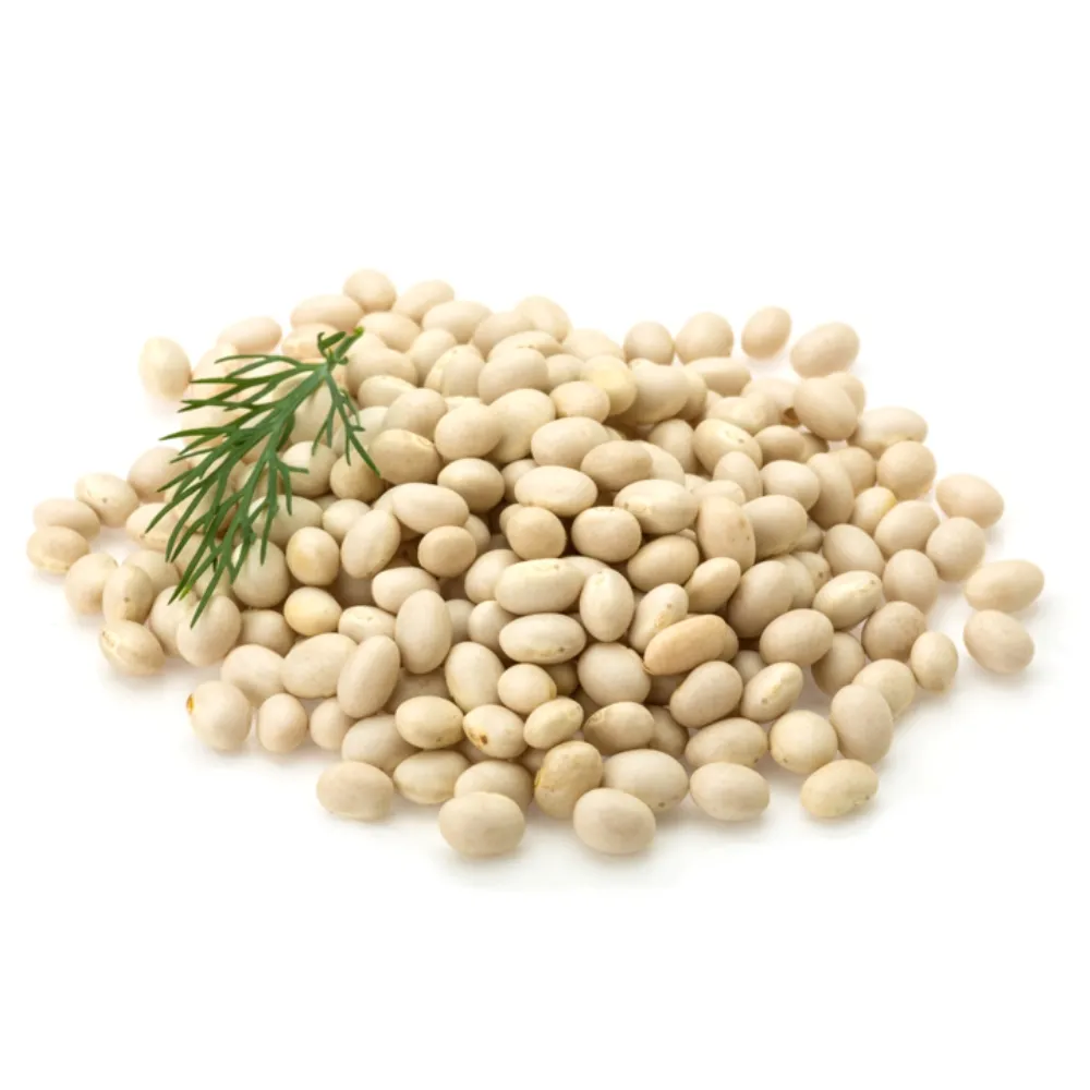 navy bean suppliers