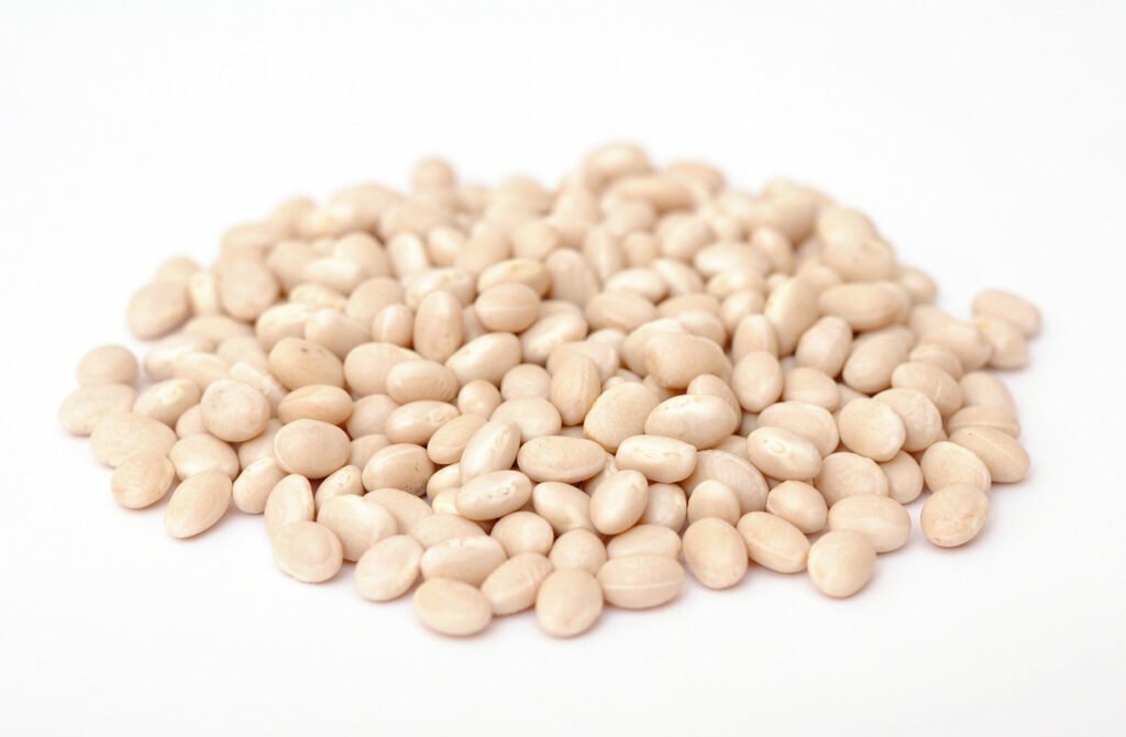 navy bean suppliers