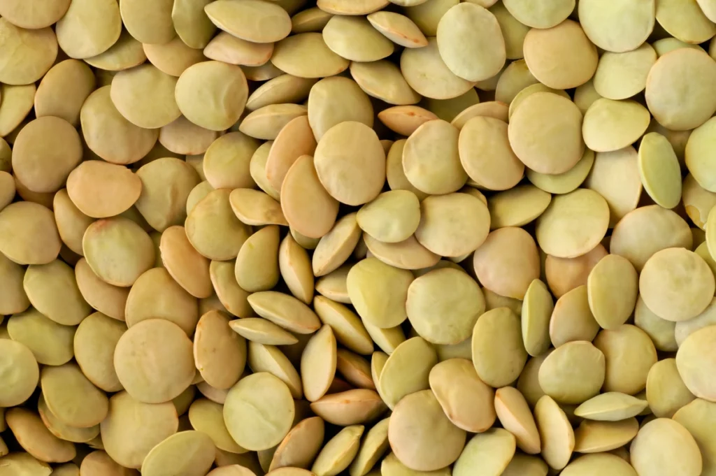 Close-up texture of raw green lentils, whole and unsplit