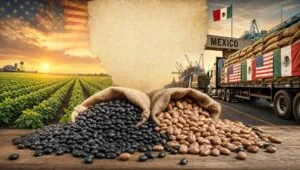 F. Garcia market report visualization of the US and Mexico dry bean market 2026 supply chain featuring pinto and black beans.