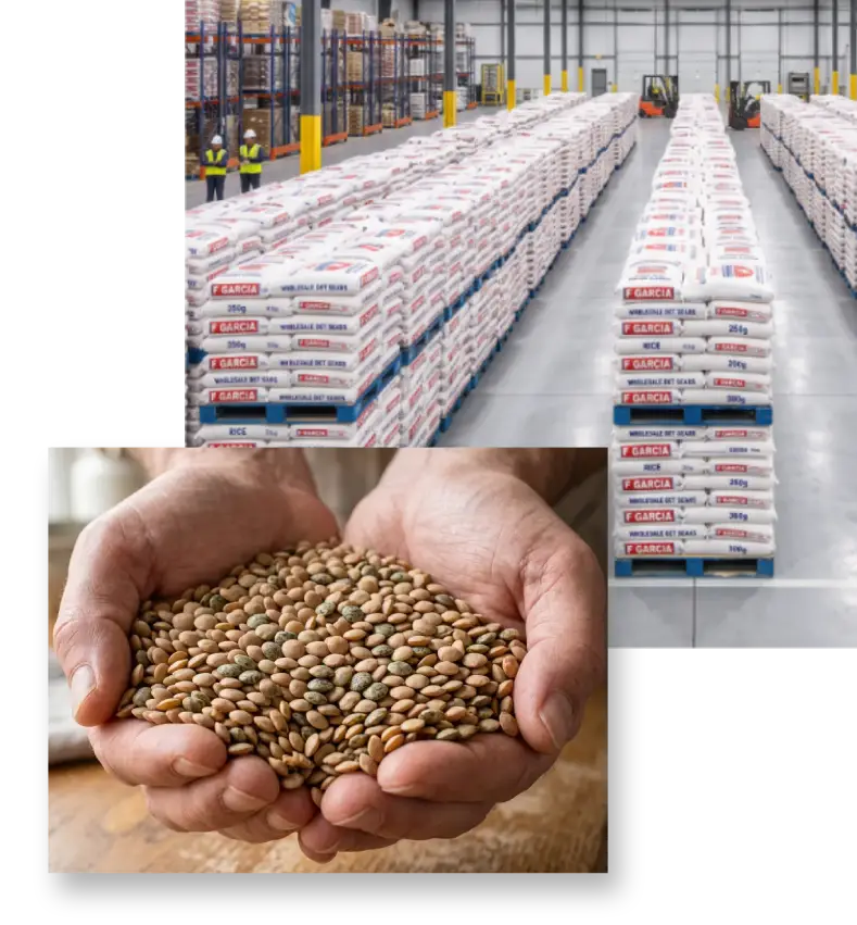 Pallets of packaged wholesale green lentils ready for shipping.