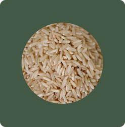 Bulk USA-grown brown rice, available on contract from F. Garcia Wholesale & Export.
